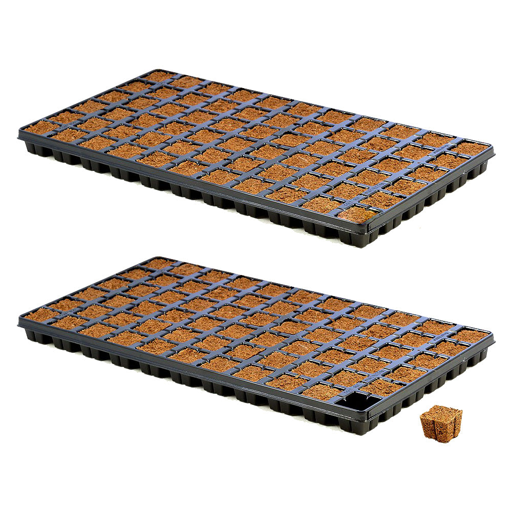 EAZY PLUG: 2 CT66 Trays w/66 plugs in each tray