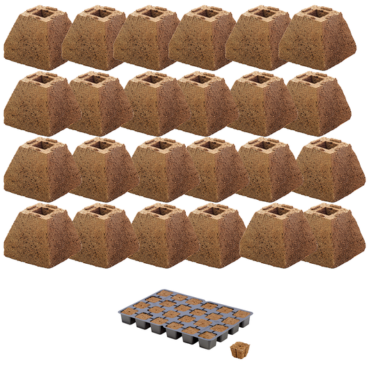 EAZY PLUG: 24 Mini Pyramids and 24 count plug tray