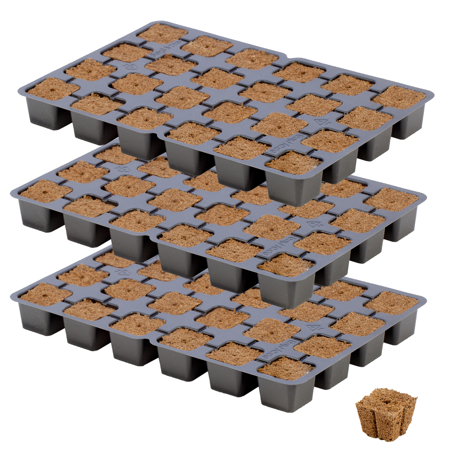 EAZY PLUG: 3 Trays of ct24 plugs