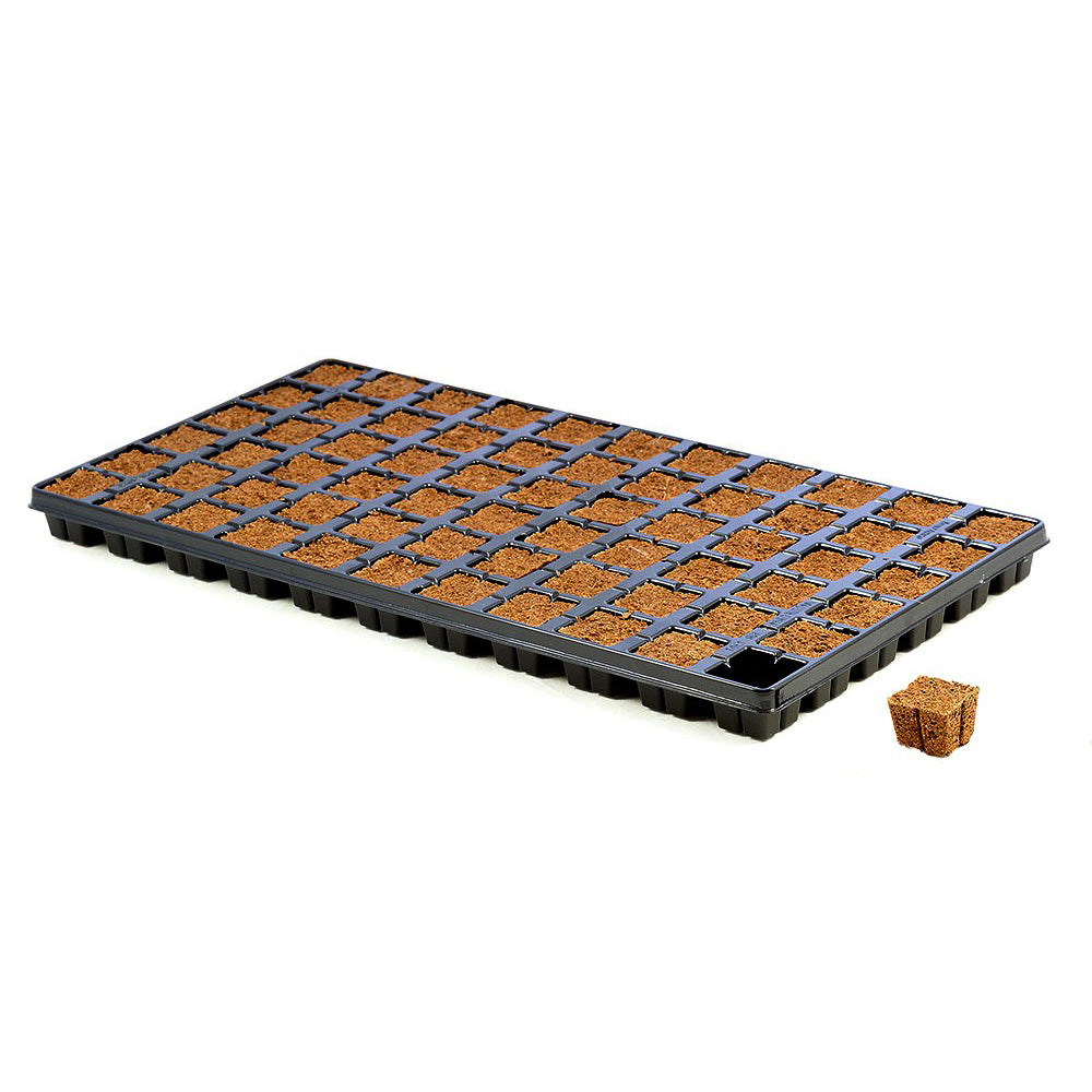 EAZY PLUG: 2 CT66 Trays w/66 plugs in each tray